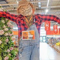 Местная охрана :) :: Валерий Иванович