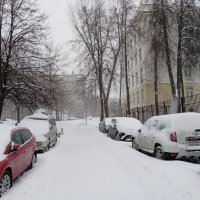 Зима. :: Владимир Драгунский