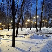 Зима. :: Владимир Драгунский Зима. :: Владимир Драгунский