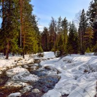 Весенняя речка :: Vladimbormotov Весенняя речка :: Vladimbormotov