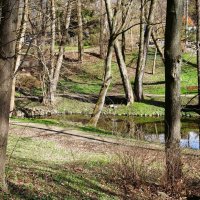 Март, ландшафтный парк, Калининград :: Рита Симонова