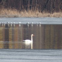 Неожиданное дефиле в центре города. :: Егор Бабанов