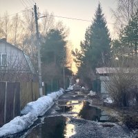 Весенний закат :: Натали Королева