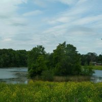 ПРИОРАТСКИЙ ДВОРЕЦ окрестности. :: Виктор Осипчук