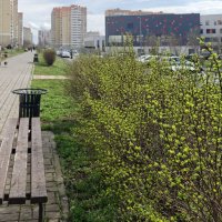 Ростовские зарисовки :: Александр Гапоненко