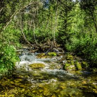 33 :: HART BAD 33 :: HART BAD