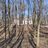 Свет и тени :: Игорь Ч.