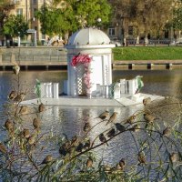 Из астраханского альбома :: svk *