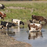 Водопай :: Андрей Катков Водопай :: Андрей Катков
