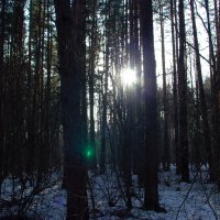 Лейка 2002 года выпуска. :: Михаил Елочкин Лейка 2002 года выпуска. :: Михаил Елочкин