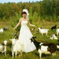 ... :: Алла Кочергина ... :: Алла Кочергина