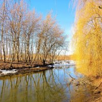 Речные берега :: Андрей Снегерёв