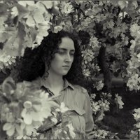 Цветы :: Алексей Хвастунов Цветы :: Алексей Хвастунов