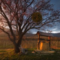 Старый колодец :: Анатолий Гордиенко