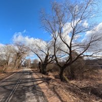 д.Староселок :: Артем 