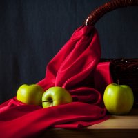 ... :: Елена Пономарева