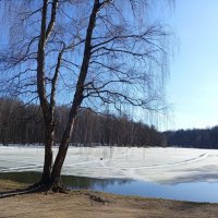 Хорош был март! :: Андрей Лукьянов Хорош был март! :: Андрей Лукьянов