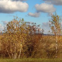 И снова-осень ! :: nadyasilyuk Вознюк