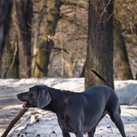 Встречи в пути :: Michel 