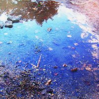 Отражение в луже :: Людмила Смородинская