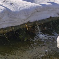 Водопадик :: Сергей Цветков Водопадик :: Сергей Цветков