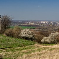 Весна набирает ход :: Игорь Сикорский