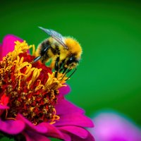 *   *   * :: Уже не важно ...