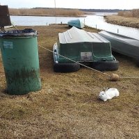 ****** :: ИННА ПОРОХОВА