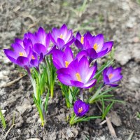 ,,, :: Сергей Тимоновский