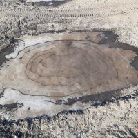 Дела весенние :: Галина Минчук