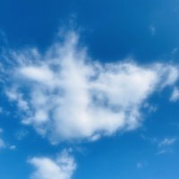 стрела Амура :: Вера Солнцевна