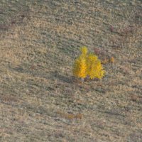 Осеннее одиночество :: Сергей Герасимов