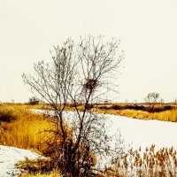 ГНЕЗДО :: HART BAD