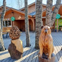 Сегодня день на Фотокто посвящаю собаке... :: Лия ☼