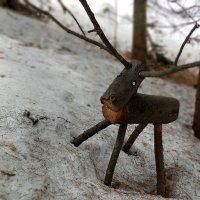 Лось :: Радмир Арсеньев