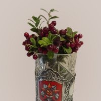 Брусника :: Сергей Кочнев