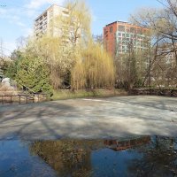 Старинный пруд в Аптекарском огороде :: Лидия Бусурина