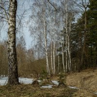 Конец марта. :: Николай 