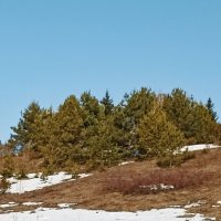 *** :: Светлана Кузнецова *** :: Светлана Кузнецова