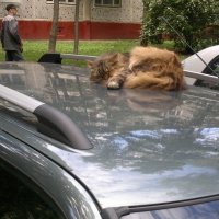 Моё :: Валерий Пославский