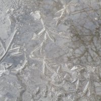 март :: Елена Шаламова