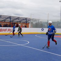 Бол хоккей :: Ольга 