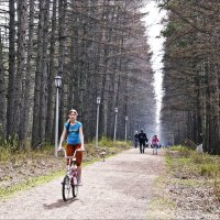 Все на велосипеды! :: Валентина *