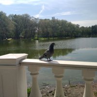 Это было летом.. :: Елена Семигина