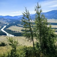 Река Аргут :: Галина Козлова 