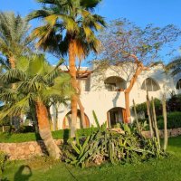 Египет. Шарм-эль-Шейх :: Ирэн 