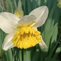 Весна :: Вячеслав Коломойцев