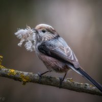Для уюта и тепла :: Александр К. Для уюта и тепла :: Александр К.