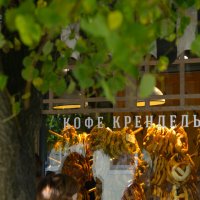 *** :: Константин Белоногов