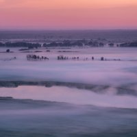 молочные реки :: Сергей Попрошаев